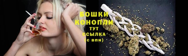 эйфоретик Беломорск