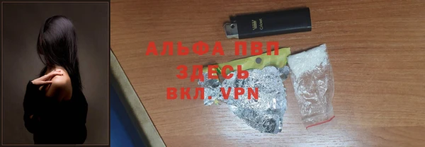 ПСИЛОЦИБИНОВЫЕ ГРИБЫ Белокуриха