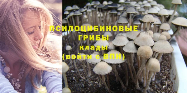эйфоретик Беломорск