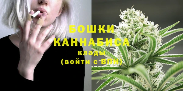 ПСИЛОЦИБИНОВЫЕ ГРИБЫ Белокуриха
